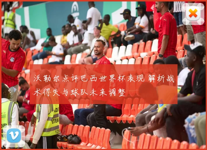 沃勒尔点评巴西世界杯表现 解析战术得失与球队未来调整