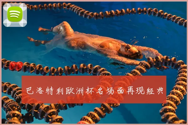 巴洛特利欧洲杯名场面再现经典