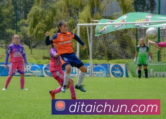 米兰在线体育官网发展历程