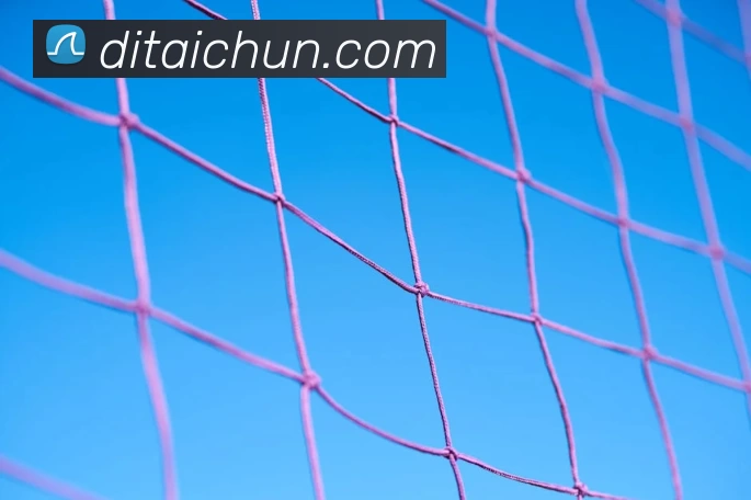 巴西欧洲杯对阵英格兰一战点球获胜晋级淘汰赛防守成比赛关键